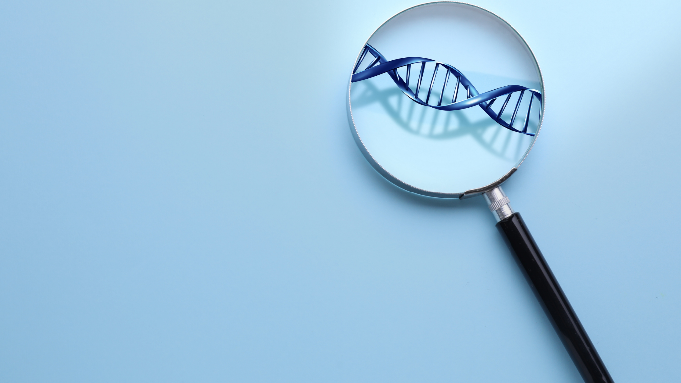 遺伝子がリスク行動と衝動性に与える影響とは