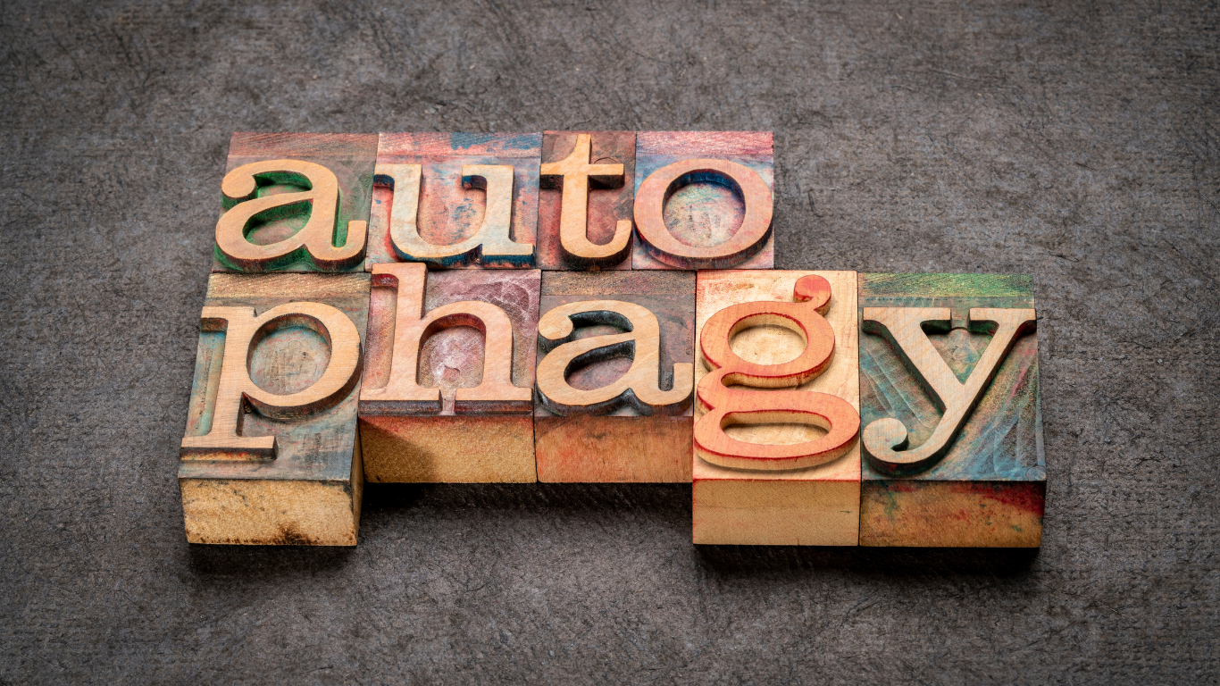 筋トレとオートファジーは両立できる！科学が証明した最新メソッド【2025年版】