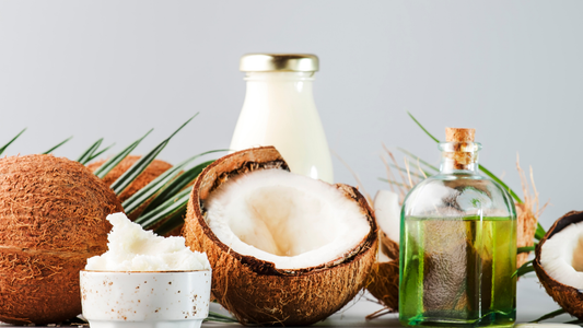 オートファジーとMCTオイルの関係を科学的に解説|断食中の摂取は促進か阻害か